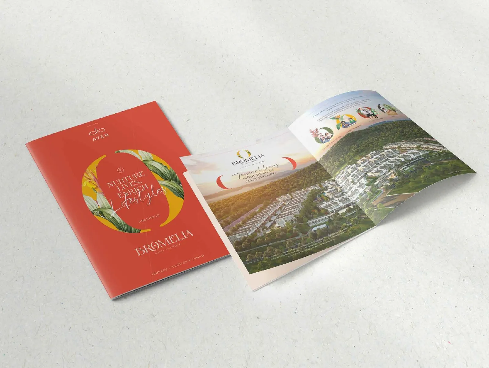 Bromelia launch brochure cover and inner spread